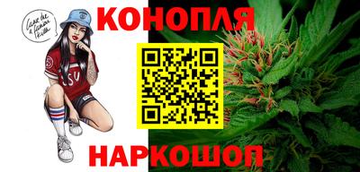 крисы Бийск