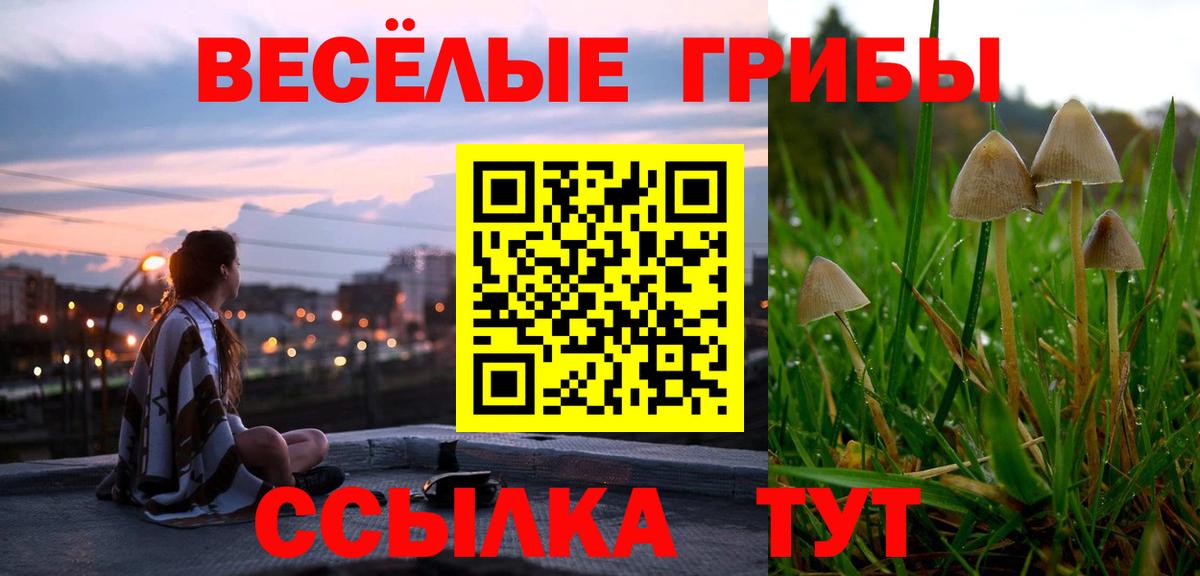 Галлюциногенные грибы мухоморы Волжский